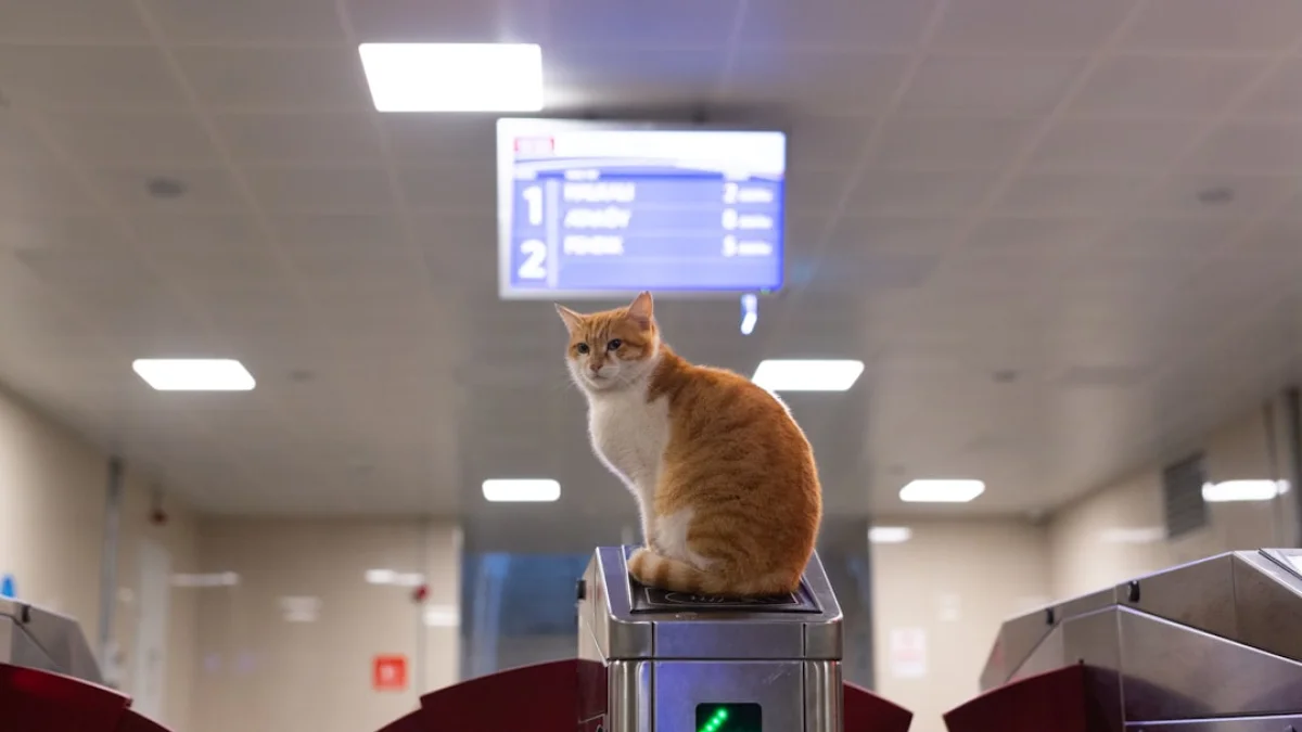 2026年、日常を代行するAIエージェント元年