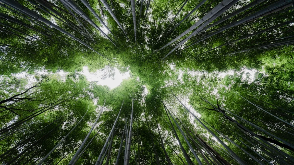 AIとPNNLが拓く、連邦許認可の短縮