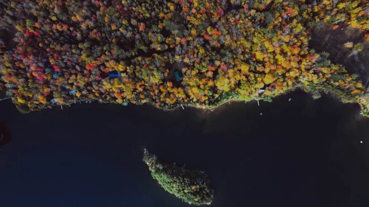 AIで描く30mの生物多様性地図と音声監視