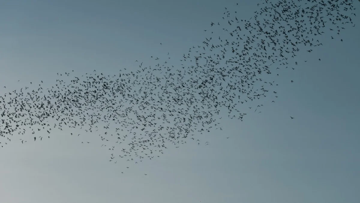 AIスワーム時代の偽情報と民主主義