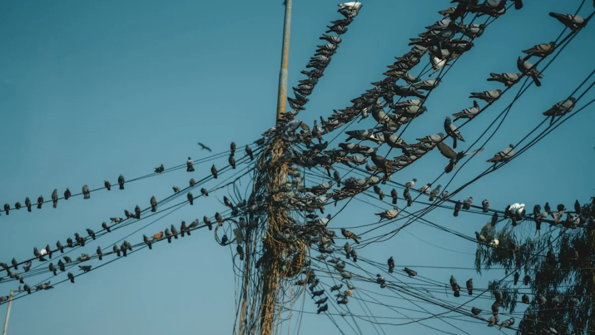 Moltbookに260万のAIが群れる、本当の“社会”はあるか