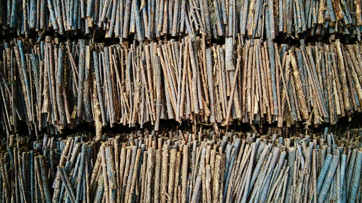 英国17自治体が示すAI転記の現実