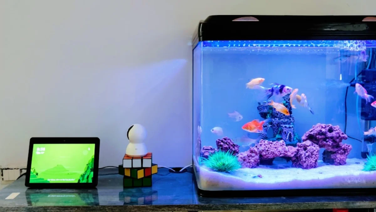 AnthropicのAIキオスク、PS5と生魚で赤字に