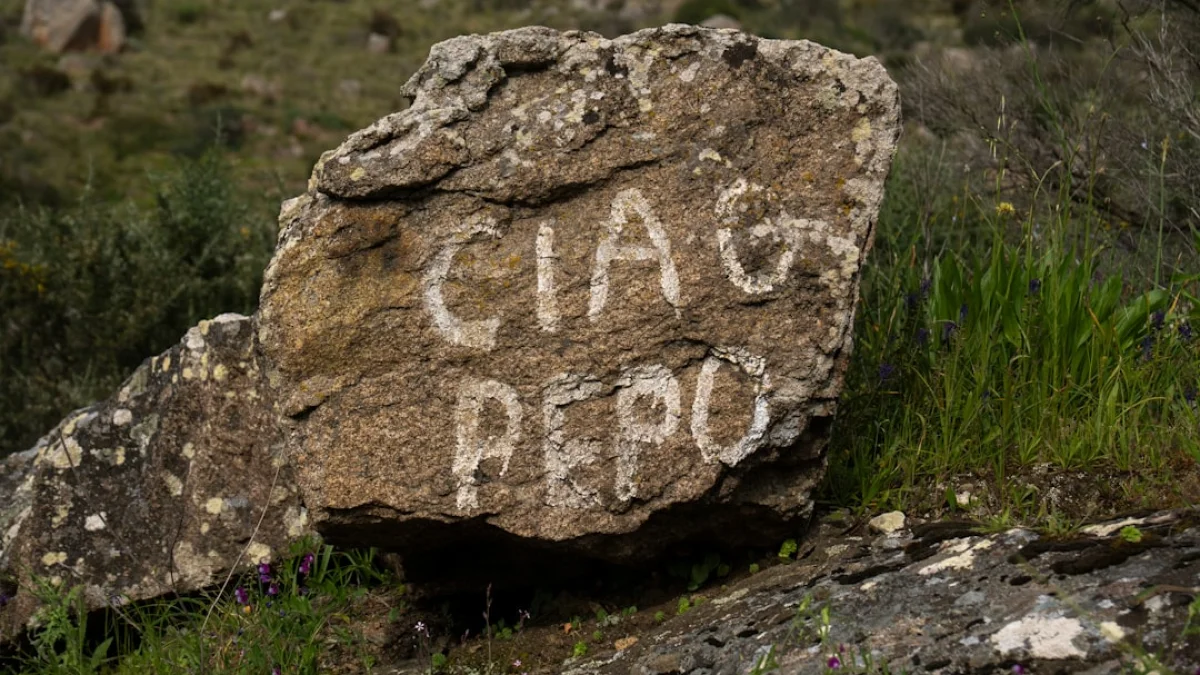 Anthropic新機能でChatGPT履歴をClaudeへ