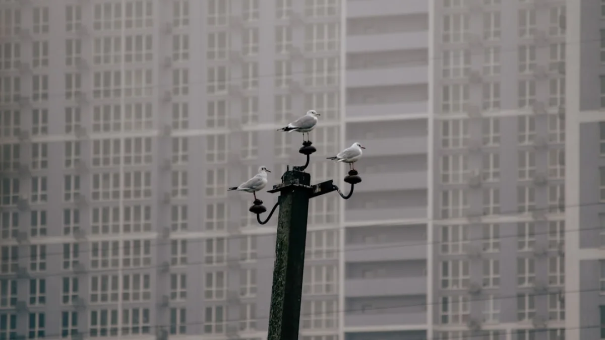 ビルとトロンボーンが教えるAIの限界