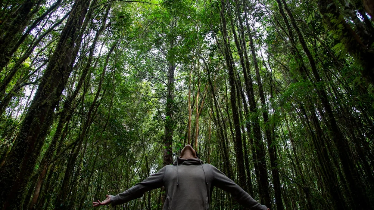 Black Forest Labsが3億ドル調達、評価額32.5億ドルに