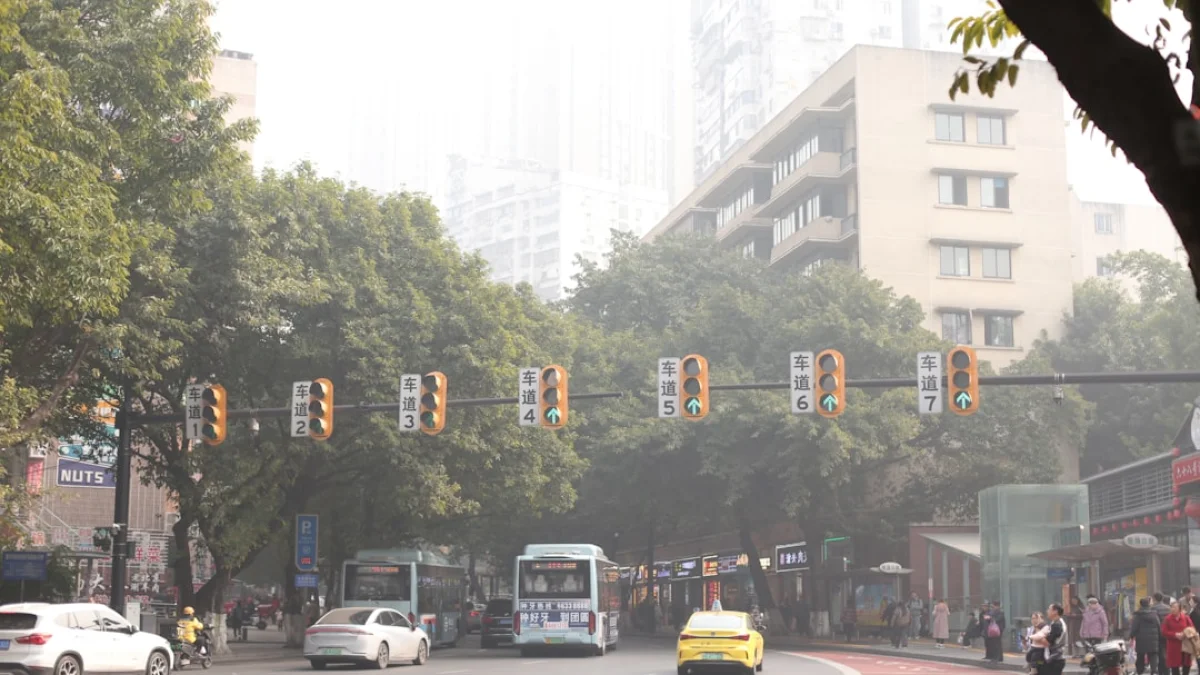 City Detect、AIで街を守り17都市へ拡大