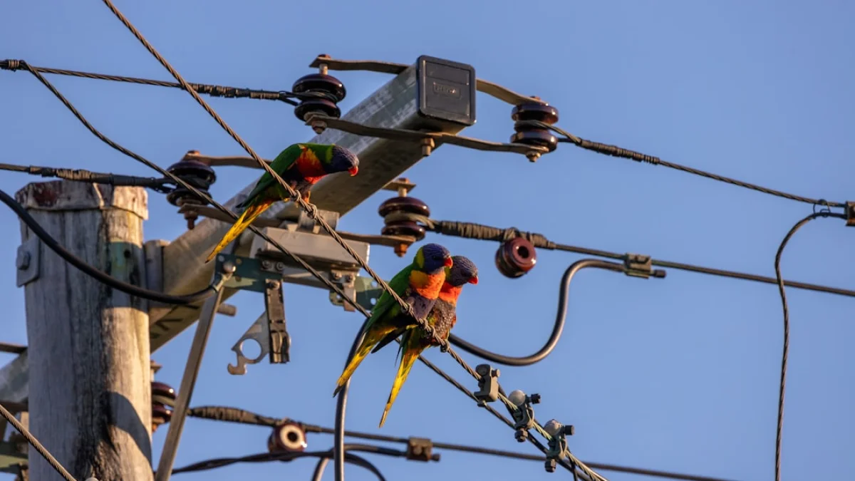 Claudeが広範囲で停止、世界数千人が影響