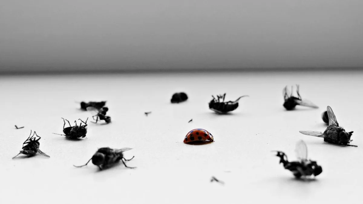 cURLが報奨金を撤廃、AIが招く偽脆弱性の波紋