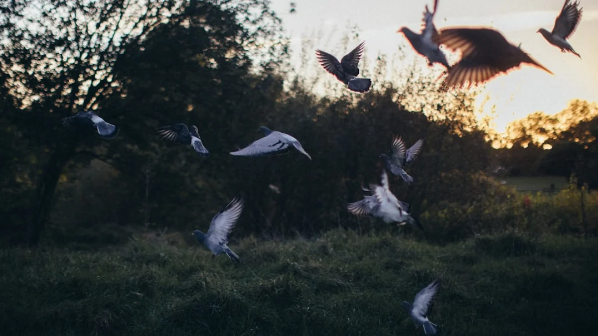 Disrupt 2026：最安値はあと6日