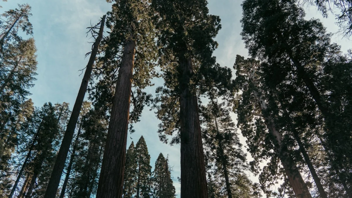 ElevenLabs、Sequoiaから5億ドル調達