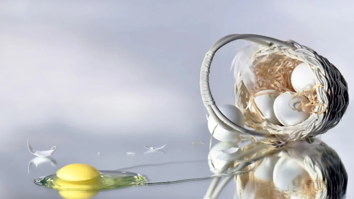 エスター・ペレル×AI恋人のカウンセリング