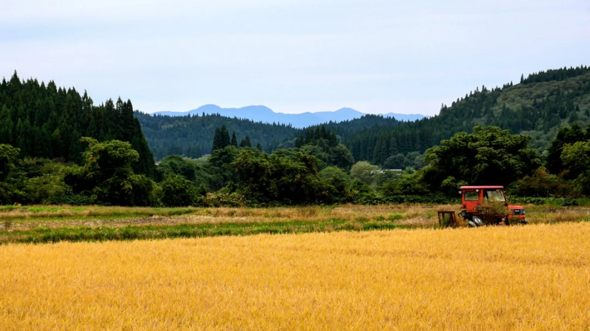 億円オファーを断った農家、その真意と地域の未来