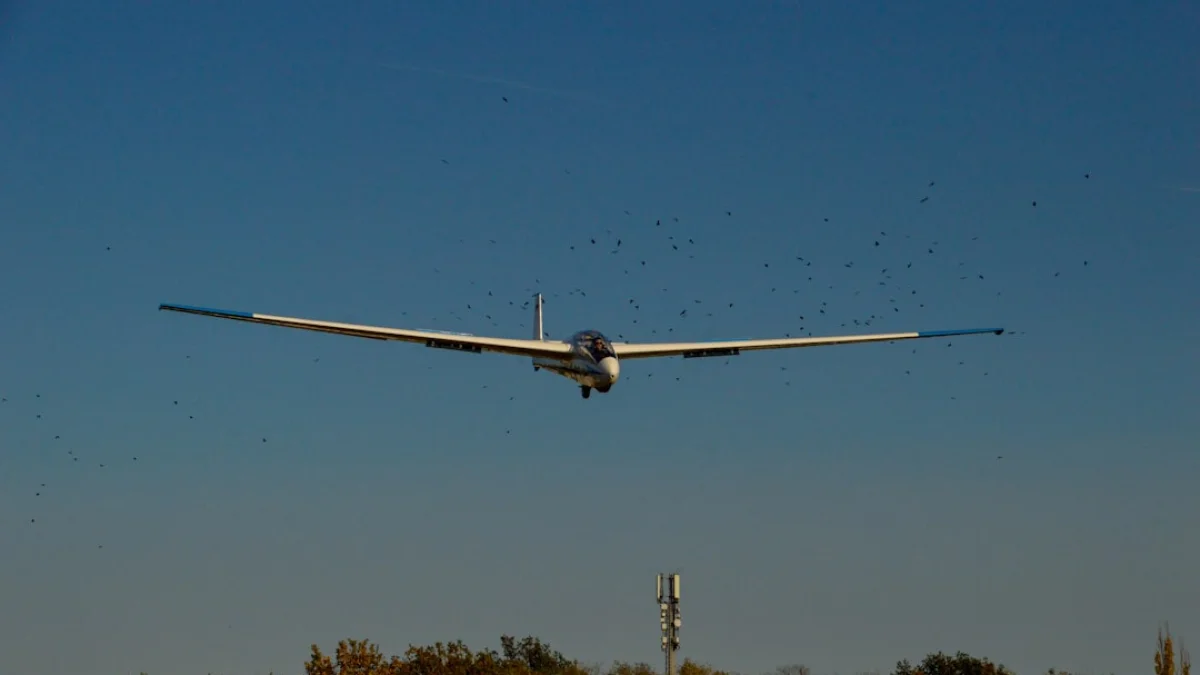 Flapping Airplanesが切り開く研究駆動AI