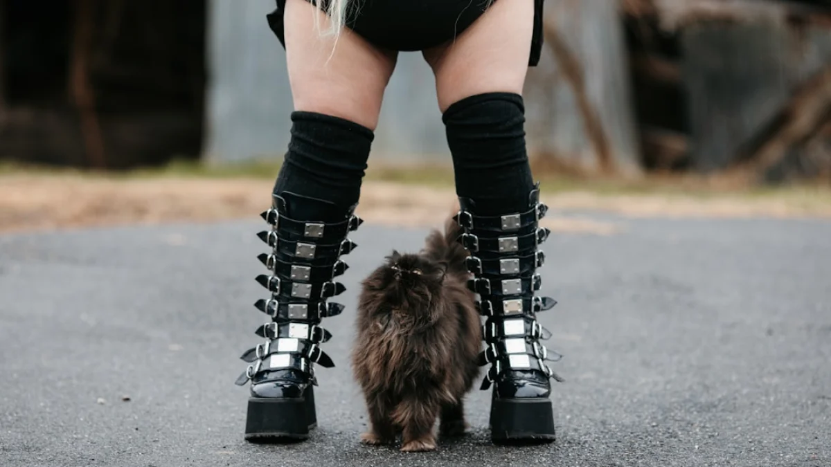 Google Photosで自分をミーム化する新機能