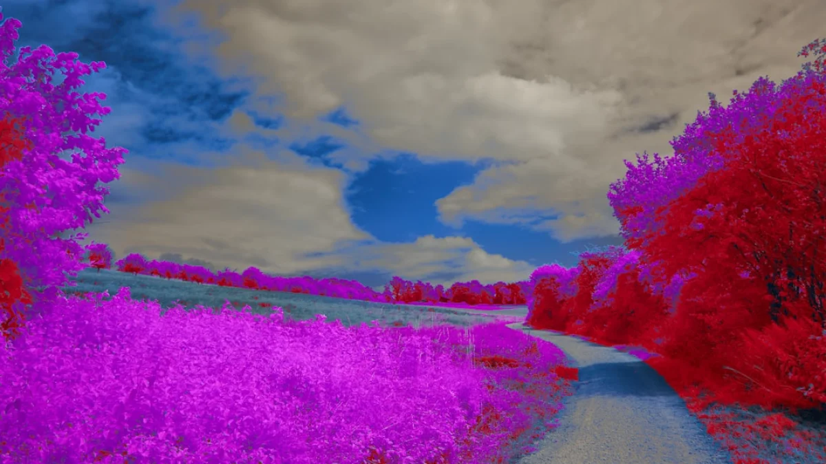 60秒で世界を作る Google Project Genie