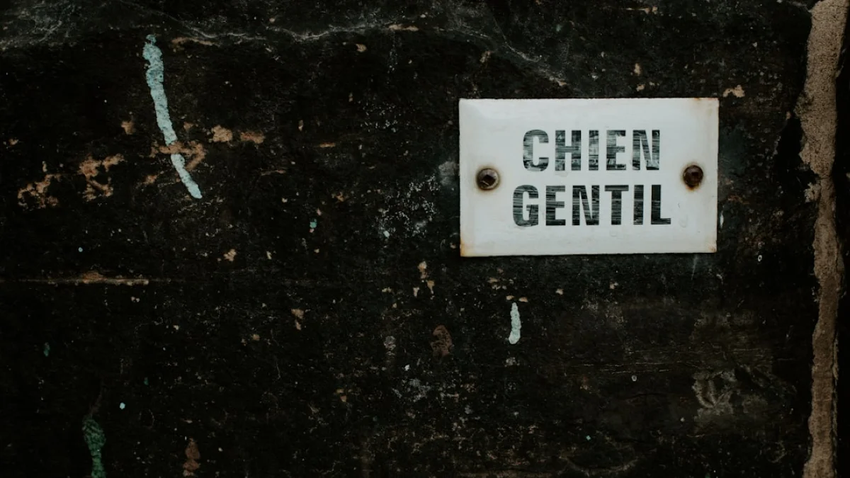 ChatGPTとGemini、成長差の読み解き方