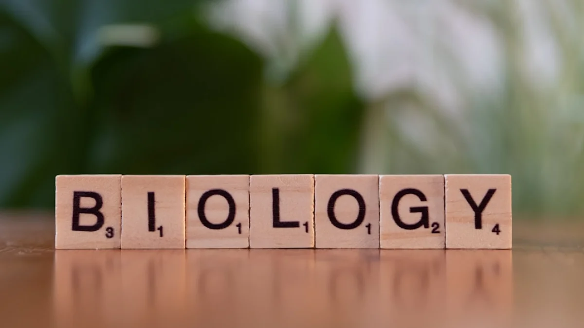 AnthropicがCoefficient Bio買収か？