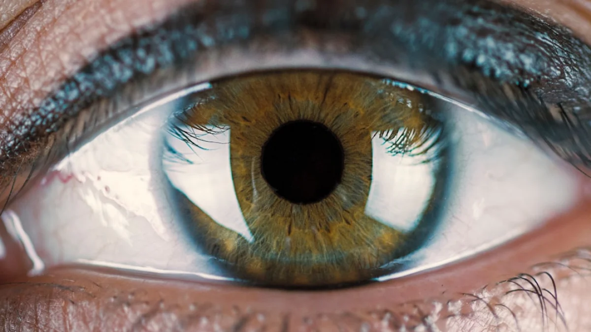 Meta、視覚と推論を統合する世界モデルへ