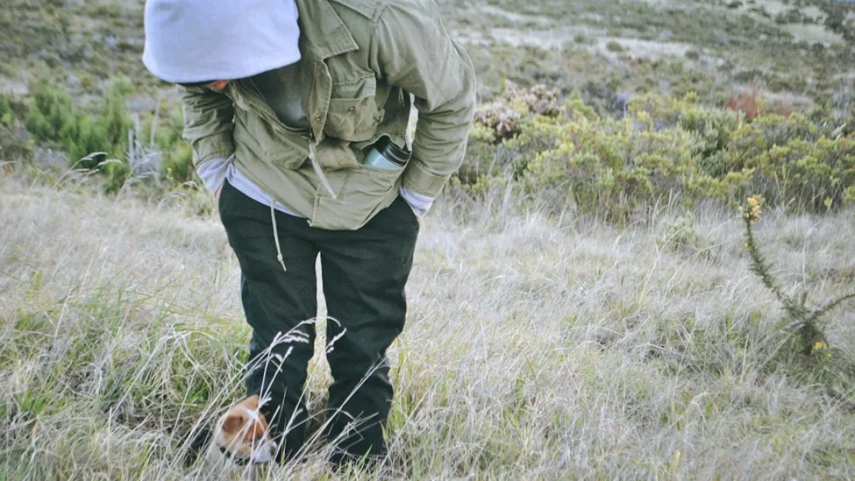 Perch新モデルで生態音響が50倍高速に