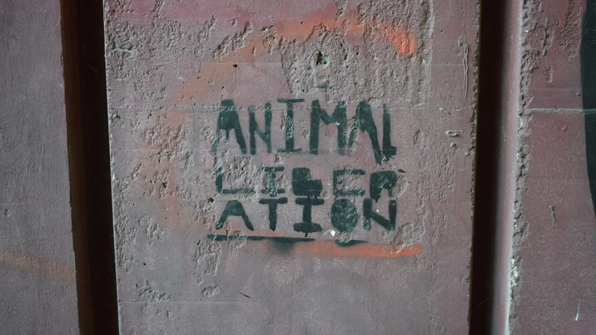 ペンタゴンが探るAnthropicの代替策