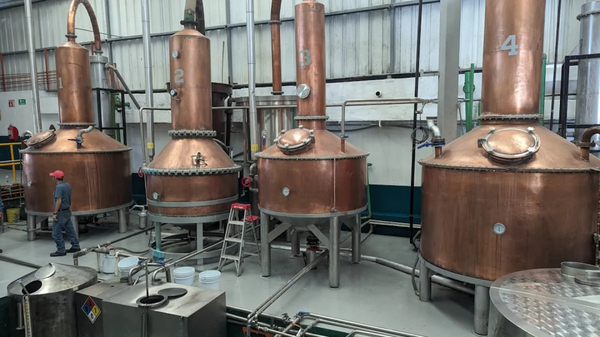 現場で効くOn-Policy蒸留入門