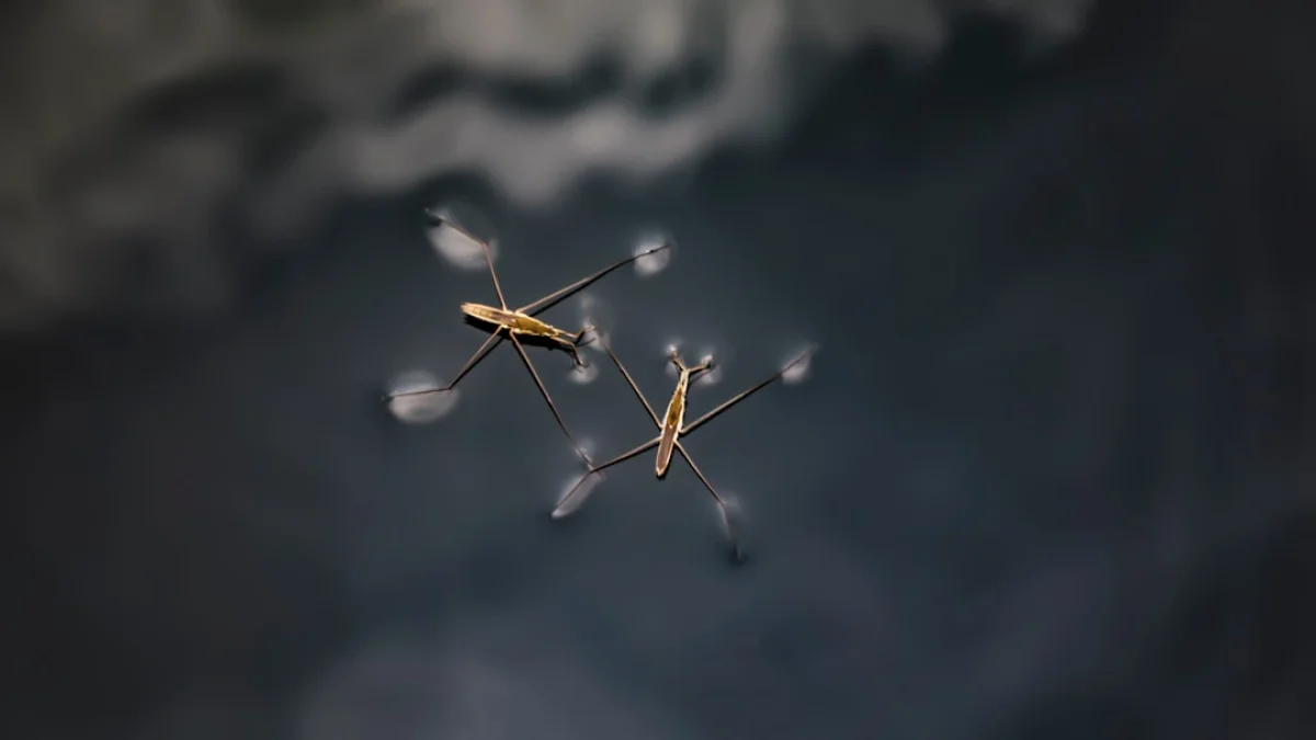 公開文書に見える中国PLAのAI戦略の動き