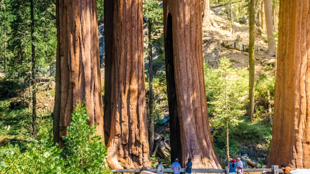 SequoiaのAnthropic出資がVC常識を揺るがす