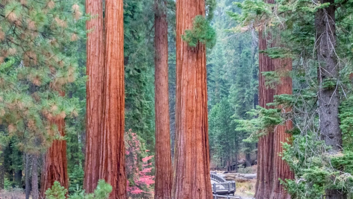 Sequoia後援のAI研究所、その狙いと正体