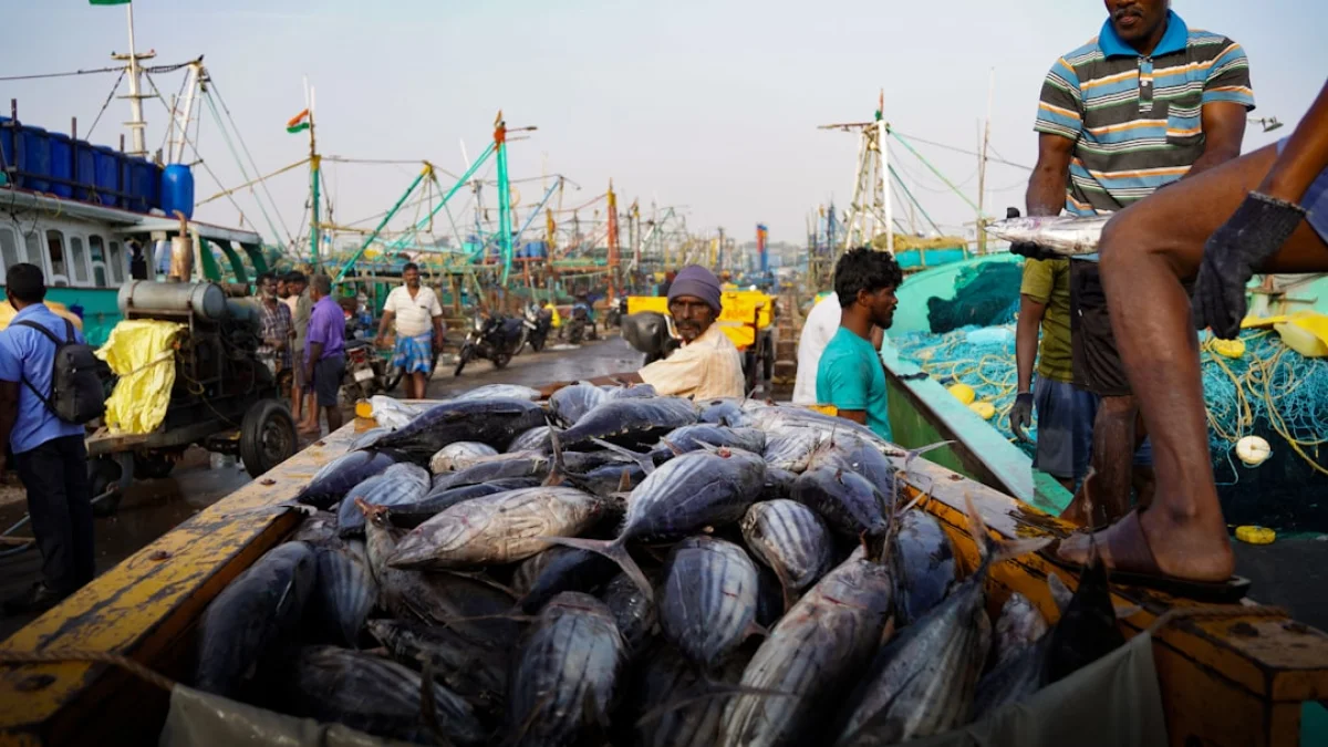 週末の6本で読み解く、今週の注目の動き