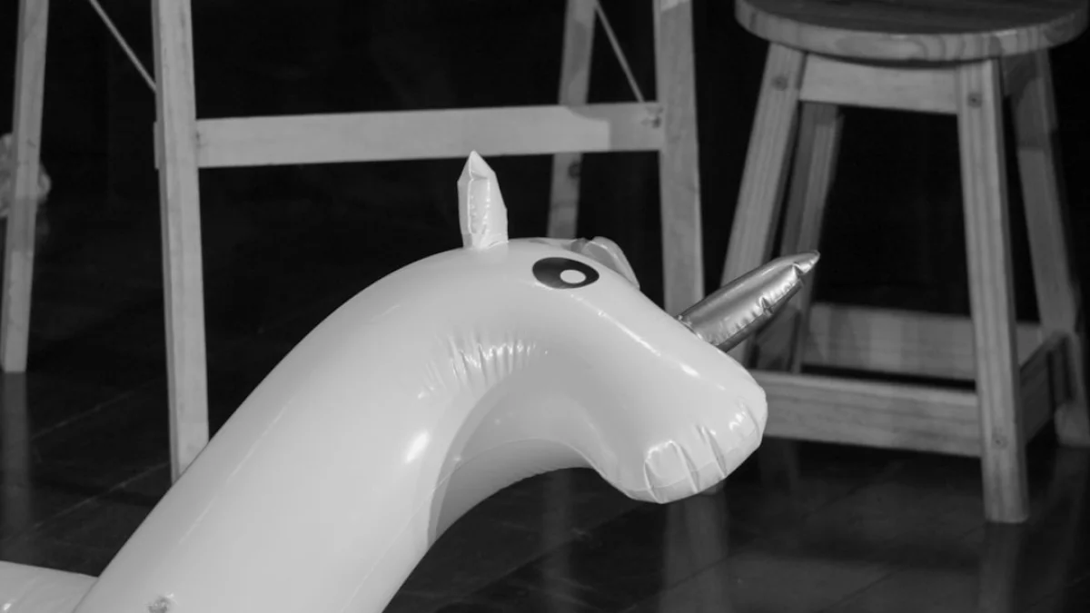 Starcloud：資金0百万と17カ月でユニコーン？