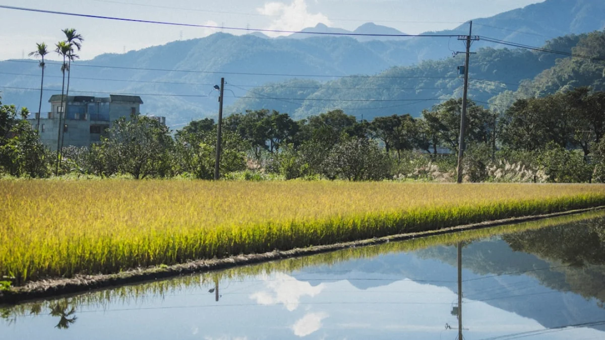 11州で約3分の2が停止　AIデータセンターを巡る波紋