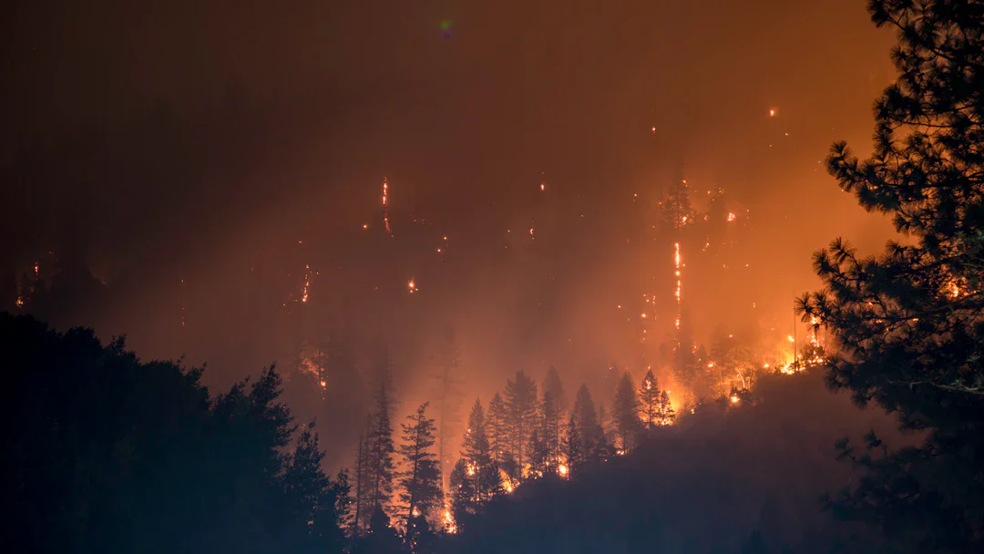 XPRIZE と California が山火事対応ドローンのテストを開始、初期段階での火災抑止を目指す